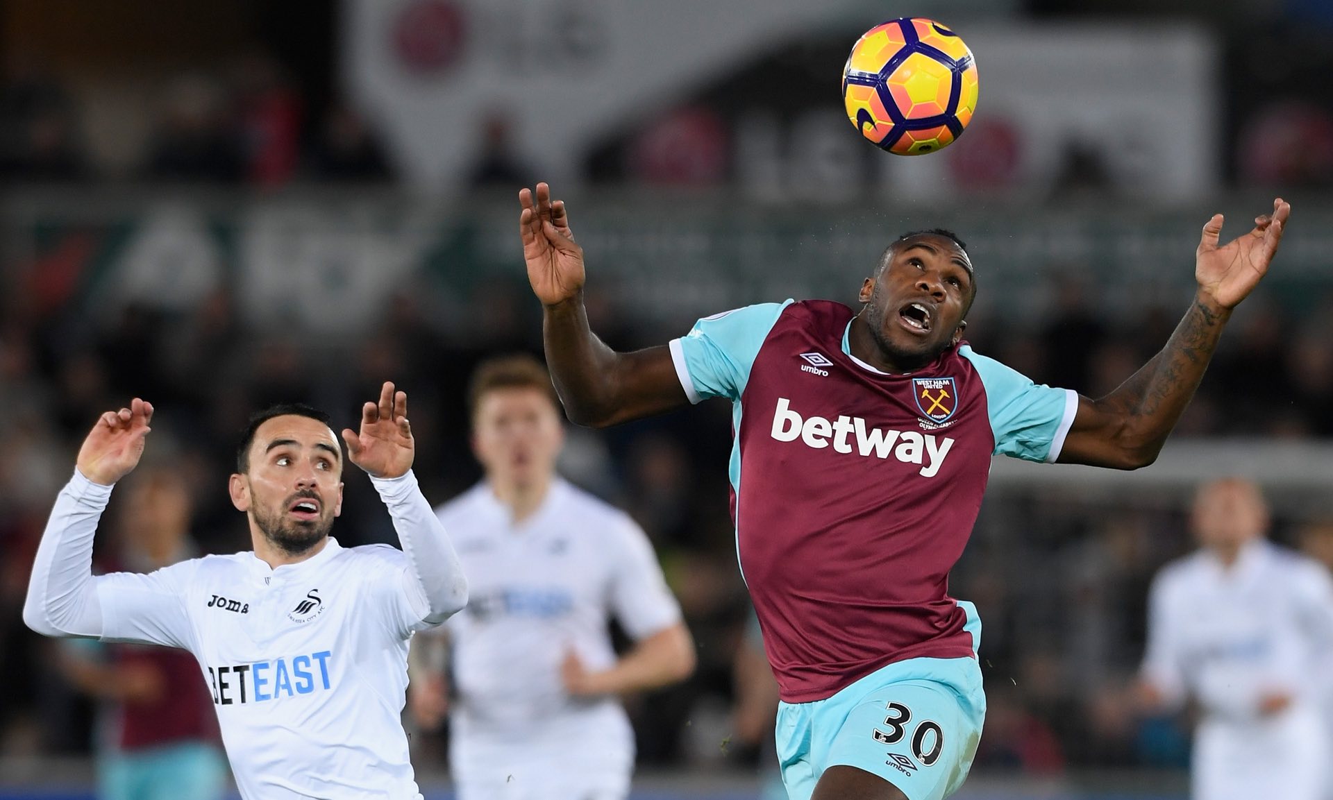 张嘉轩和黄 张嘉轩和黄